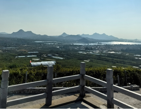 平度大澤山葡萄園引進(jìn)萊恩德土壤肥料檢測(cè)儀， 輕松掌握土壤營(yíng)養(yǎng)